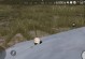 绝地逃生防空洞攻略（跟随攻略，掌握关键技巧，化险为夷！）