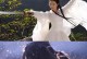 《杨过与小龙女手游攻略大全》（不败神话的序幕，以情动世间）