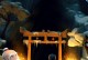 笨拙忍者攻略9级——提升技能与战斗策略（用突破瓶颈，成为无敌忍者！）