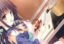 少女领域攻略教程（从自信到穿搭，打造完美的少女形象）