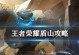 国际服盾山出装攻略（最新推荐的出装搭配及解读）