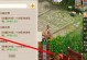 《问道手游果子培养攻略》（掌握果子培养技巧，助你问道之路更上一层楼）