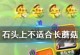 《忍者风暴手游攻略大全》（成为真正的忍者，掌握无敌技巧！）