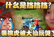 掌握张大仙的最强装备攻略（以盾山教学，助你成为无敌战士！）