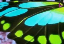 《秦时明月手游剑客攻略大全》（剑士们必看，助你成为顶级剑客！）