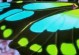 《秦时明月手游剑客攻略大全》（剑士们必看，助你成为顶级剑客！）