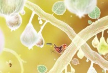 探秘植物精灵手游攻略（发现精灵的秘密与战斗技巧，助你成为最强训练师！）