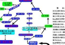 永远的伊苏1攻略（完全攻略、秘籍、技巧，尽享伊苏之旅的精彩体验）