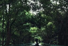 探索FC魔幻世界（游戏攻略指南带你玩转全新魔幻世界）