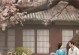 攻略夫君t（探寻背后的秘密，追寻新生的奇妙之旅）